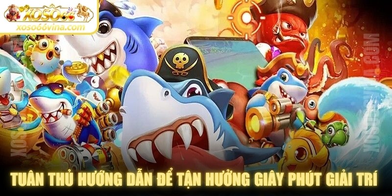 Bắn Cá XOSO66 VINA – Trải Nghiệm Giải Trí Bắn Cá Đỉnh Cao