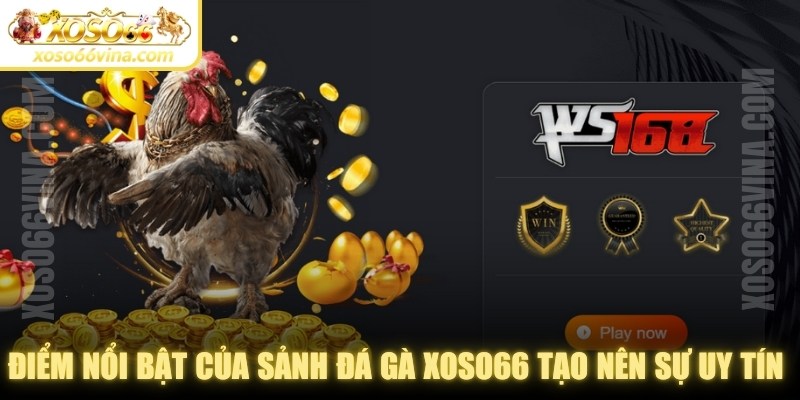 Đá Gà XOSO66 VINA Uy Tín - Đa Dạng Kèo Cược Để Chơi