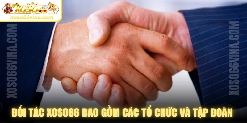 Đối Tác XOSO66 VINA: Vai trò & hiệu quả triển khai