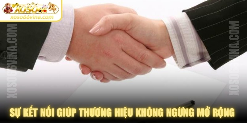 Đối Tác XOSO66 VINA: Vai trò & hiệu quả triển khai