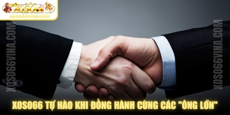 Đối Tác XOSO66 VINA: Vai trò & hiệu quả triển khai