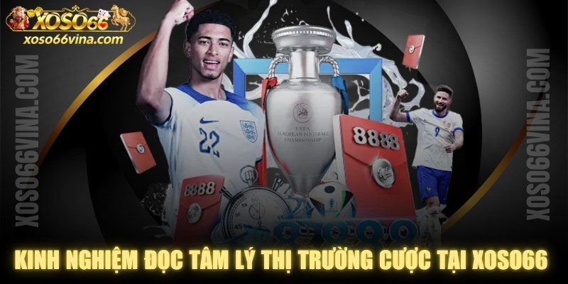 Hướng dẫn cá cược - XOSO66 VINA