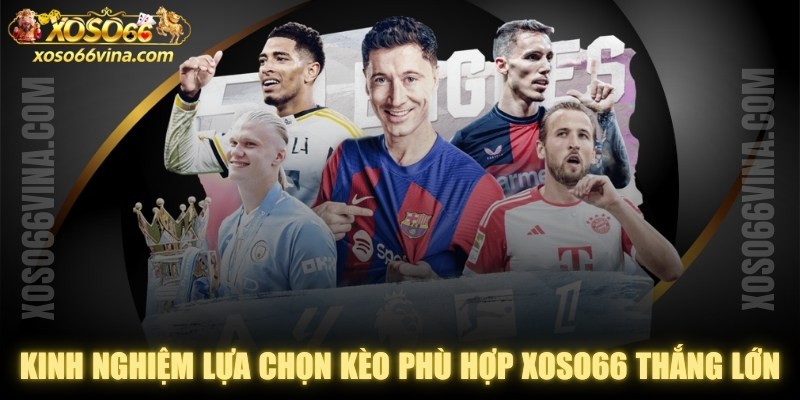 Hướng dẫn cá cược - XOSO66 VINA